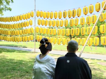 広島のブライダル、結婚式、披露宴、留袖レンタル、モーニングレンタル、七五三レンタル、礼服レンタル、レンタル衣装、貸衣装、着付け、出張着付け、は三栗矢へ